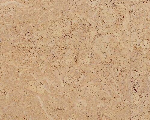 Maderia Sand
