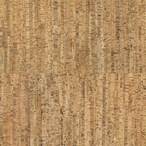 cs.wd_.66.f-1.jpg Costa