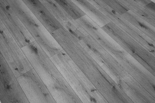 Дуб Сильвер