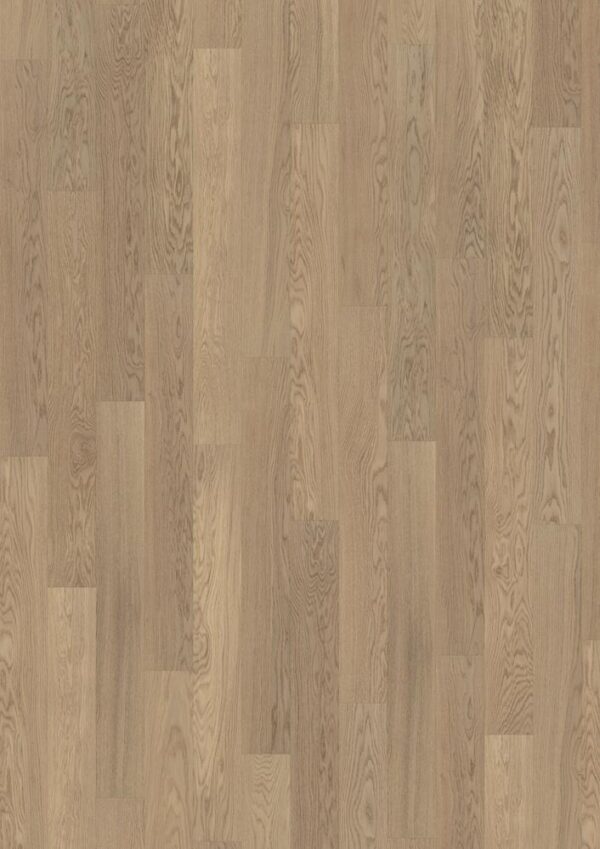 OAK 4 STORY 138 TENDER WHITE