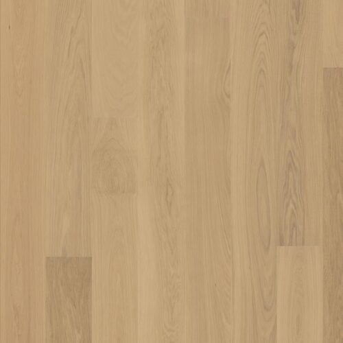 OAK 4 STORY NATUR NEW ARCTIC 