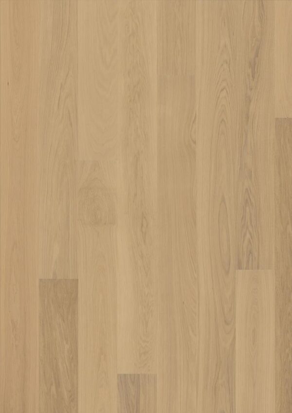 k.10110693a1014111.19.f-1.jpg OAK 4 STORY NATUR NEW ARCTIC