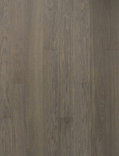 OAK 4 STORY 138 ANICE 