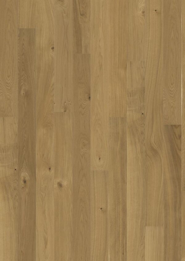 OAK 4 STORY 138 TRUE MATT