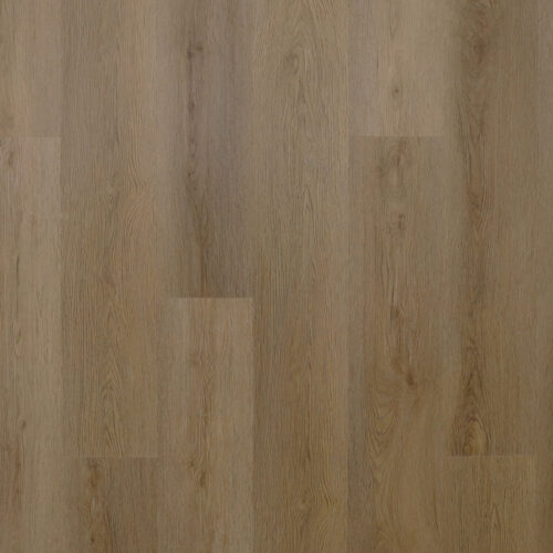 k.ltpl4bark183cl11.108.f-1.jpg Bark (Барк)