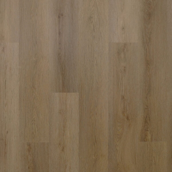 k.ltpl4bark183cl11.108.f-1.jpg Bark (Барк)