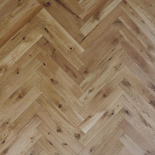 OAK LATIN HB